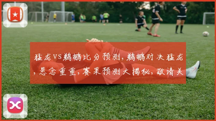 猛龙vs鹈鹕比分预测,鹈鹕对决猛龙,悬念重重,赛果预测大揭秘,敬请关注